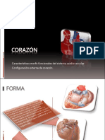 1-corazon-externo (1).pdf
