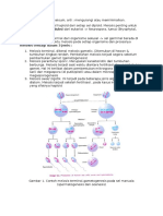 MEIOSIS DAN PERKEMBANGBIAKAN SEL