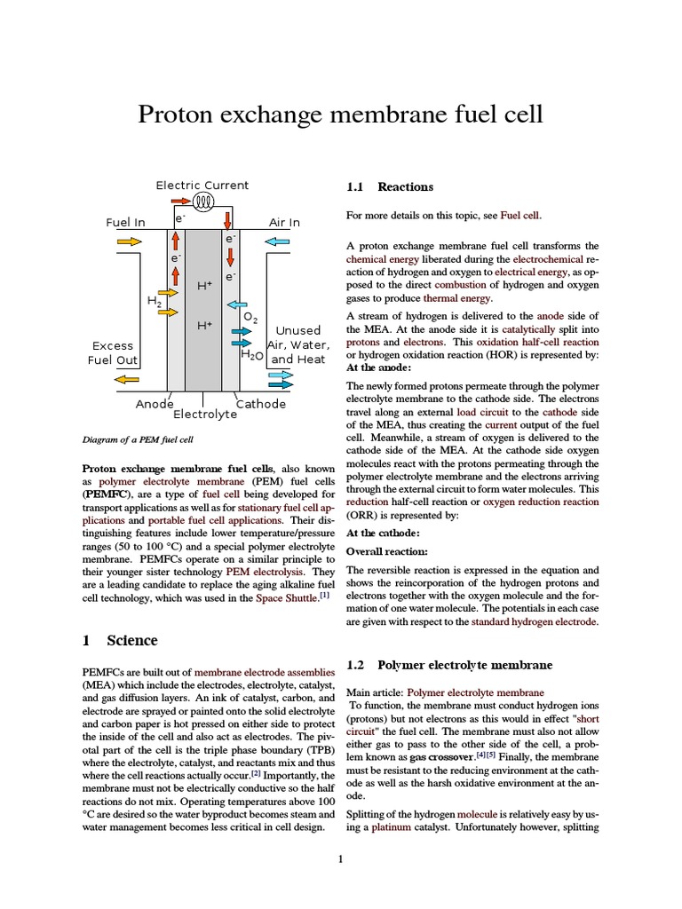 PEM Fuel Cell Overview & Reactions | PDF | Proton Exchange Membrane ...