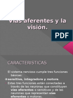 Vías aferentes y la visión