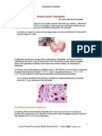 Fisiologia Tiroidea.pdf