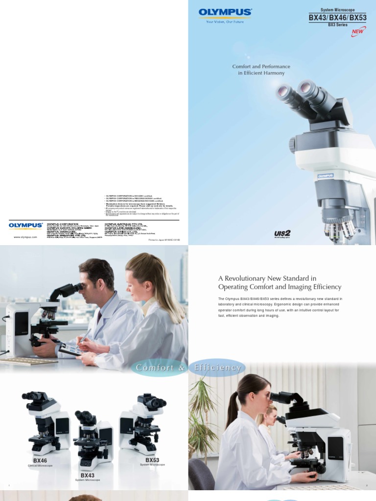 6. Olympus BX53 Fluorescence Microscope Microscopy