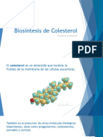 Biosíntesis de Colesterol