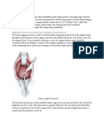 Vaginal Hysterectomy