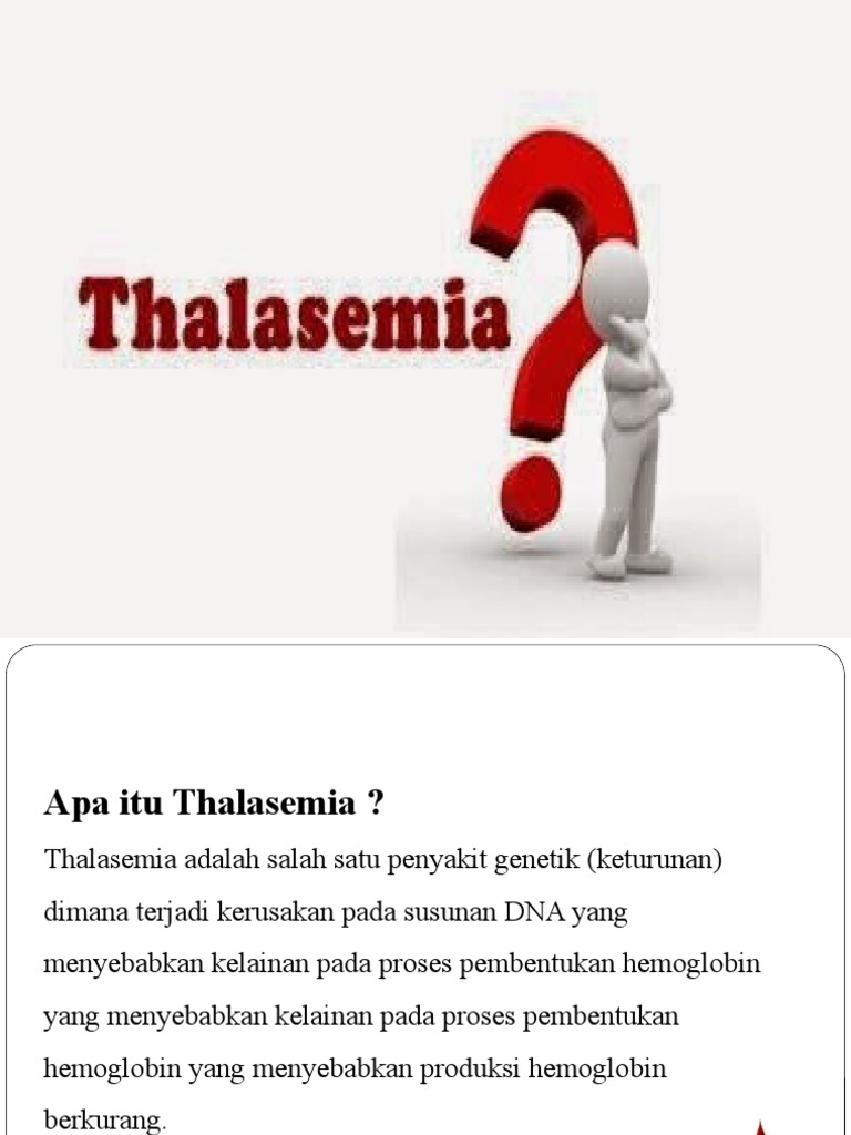 Pp Thalasemia Pdf