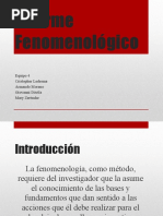 Informe Fenomenológico