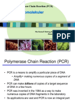 BahanKuliah RekayasaBiomolekuler PCR DNA