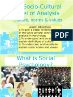 The Socio-Cultural Level of Analysis: Culture, Norms & Values