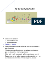 7sistema Complemento PDF