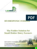 Hydroponic Fodder: From Seeding To Harvest in Just Nine Days