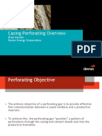 Casing Perforated Overview