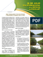 BOLETIN diaInternacional mangle.pdf