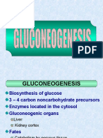 GLUCONEOGENESIS: The Biosynthesis of Glucose from Non-Carbohydrate Precursors