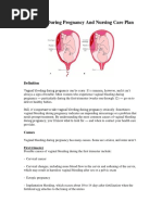 Download Bleeding During Pregnancy and Nursing Care Plan by Lizcelle Bihasa SN324675198 doc pdf