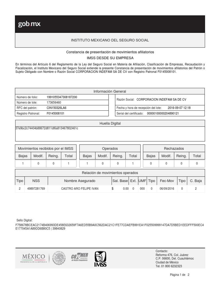 ALTA IMSS EJEMPLO