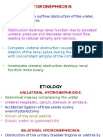  Kidney, Ureter, Bladder