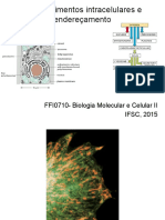 aula 4 Enderecamento de proteinas.pdf