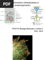 aula 4 Enderecamento de proteinas.pdf