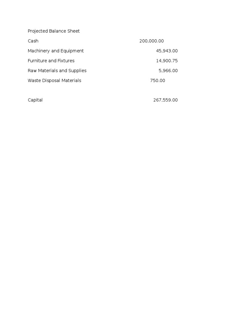 Projected Balance Sheet PDF