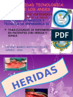 Cuidados de Enfermeria en Pacientes Con Heridas y Sonda 2