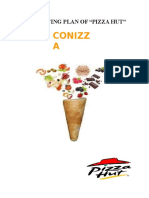 Marketing Term Paper Conizza