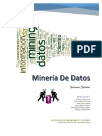 Mineria de Datos PDF