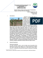 Informe de avance sobre plagas en maíz comercial en Retalhuleu