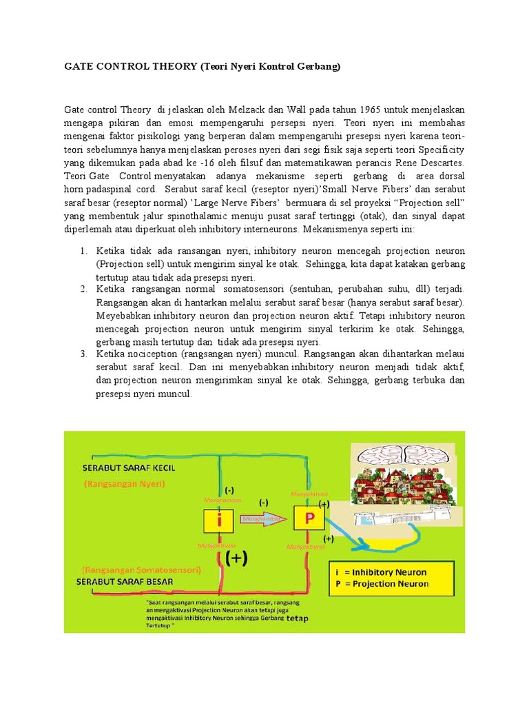 Gate Control Theory | PDF