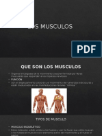 Los Musculos