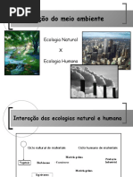 AULAPOLUICAODOAR.ppt