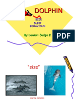B. Inggris Report Text - Dolphin by DSK