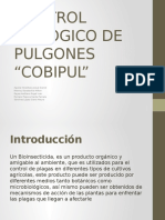 Control Biologico de Pulgones