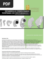Download Desarrollo Embrionario Temprano en Vertebrados e Invertebrados by Juana SN324744847 doc pdf
