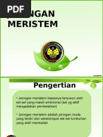 Download JARINGAN MERISTEM kelompok 1ppt by dina SN324750029 doc pdf