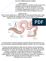 Vermicompostera Artesanal