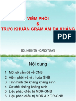 Viêm Phổi - Trực khuẩn Gram âm đa kháng