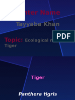 Presenter Name: Tayyaba Khan