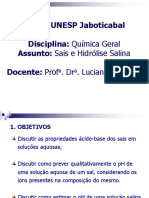 Sais e Hidrolise Salina PDF
