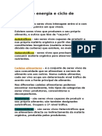 Fluxos de Energia e Ciclo de Matc3a9ria8 Cap1011