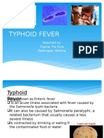 Typhoid Fever Final 2