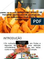 Efeito Genotóxico in vitro do Tucumã