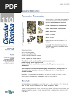 Sassafras_Embrapa.pdf