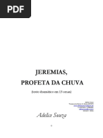 Adelice Souza - Jeremias, profeta da chuva