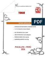 Trabajo Original Sistema Articular