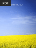 Download Guia Prtica sobre XSLT by Diego Eis SN3247858 doc pdf