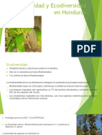 Ecodiversidad y Ecodiversidad en Honduras5