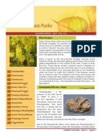 Greeshma Rhutu 2012 English PDF