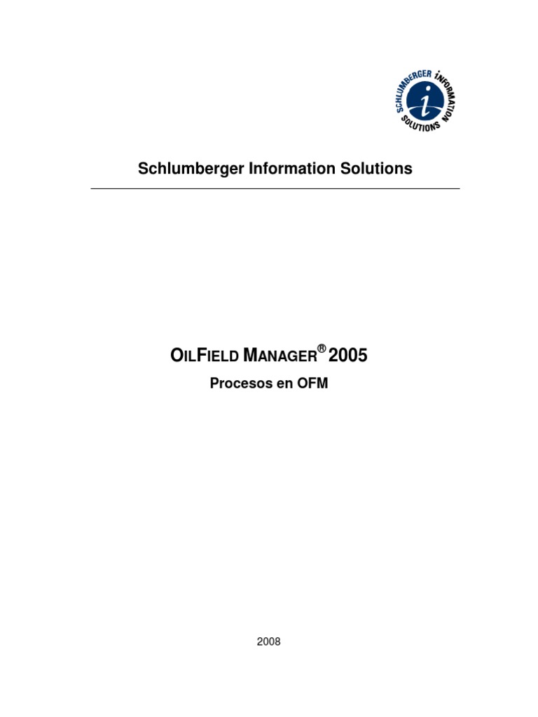 Aplicacion de Procesos Avanzados Usando OFM PDF | PDF