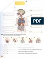 Unit1 Body Systems Activity Book 3 PRIMARIA