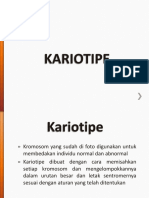 Kariotipe PDF